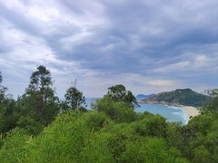 -广东惠东海龟国家级自然保护区