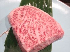 -舞鹤日本料理铁板烧(华侨城店)