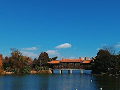 -洛龙公园