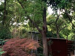 -谷咖啡·鲜花绿植花园餐厅