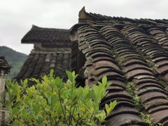 -姚家豆花