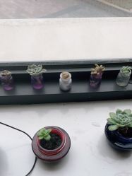 -尚艺造型.剪烫染.接发