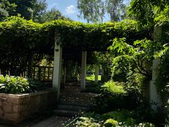 -黑龙江省森林植物园