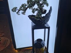 -滇铺子·云南特色菜·第九届野生菌美食节(东风东路c86店)