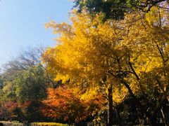 -四川大学(望江校区)