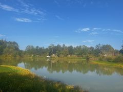 -桤木河湿地公园