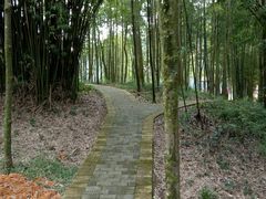 -广州市石门国家森林公园