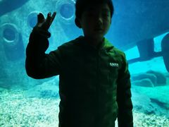 -福州罗源湾海洋世界旅游区