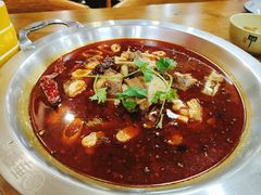 -季掌门牛骨火锅(于洪广场店)