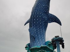 -珠海长隆海洋王国