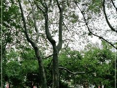 -杭州香格里拉·香宫中餐厅