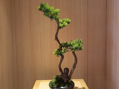 -文三酒肆自助放题(新街口友谊广场店)