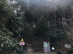 -上海佘山国家森林公园天马山园