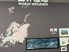 -中国湿地博物馆