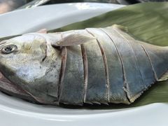 -小海豚•老字号海鲜餐厅(天涯店)