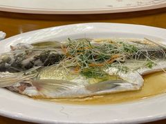 -福州美伦大饭店-中餐厅
