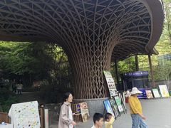 -东明山森林公园