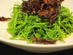 -醉东Oriental House(静安嘉里中心店)