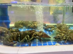 -大众海鲜(巨龙北路店)