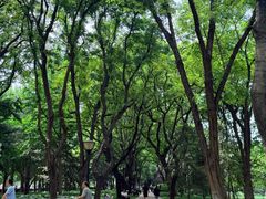 -玲珑塔公园