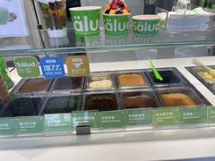 -Salud撒露欧洲冻酸奶(798艺术区店)