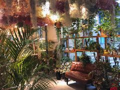 -花十悦·鲜花咖啡餐厅(振业城一期店)