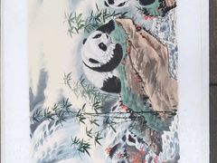 -都江堰中华大熊猫苑