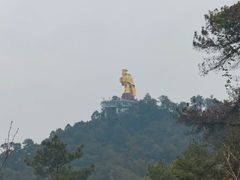 -大金鹰园