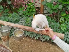 -南宫五洲植物乐园