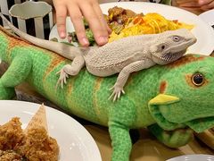 -FAIRYLAND龙族星球主题餐厅(凯丹广场店)