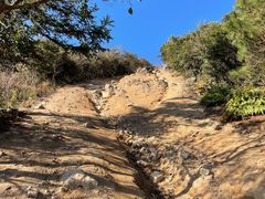 -东钱湖旅游度假区