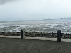 -深圳湾公园(南山区)