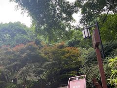 -岳麓山风景名胜区