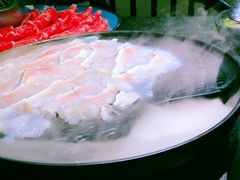 -新草堂锅物料理(泉城路店)