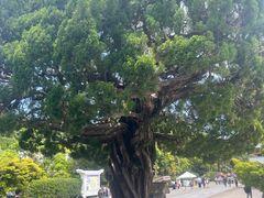 -鹤冈八幡宫