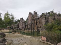 -秀丽东方
