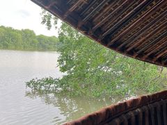 -大湾区中央湿地公园