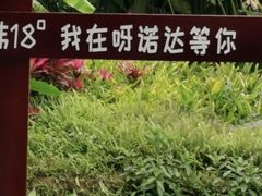 -呀诺达热带雨林