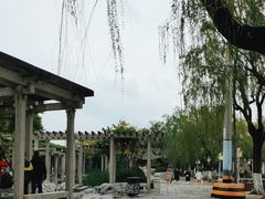 -百花洲