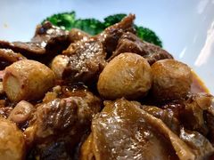 -渝半城经典川粤菜(重庆天地店)