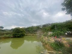 -凤岗南门山森林公园