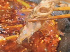 秘制黄辣丁-鸿顺老铁锅美蛙鱼府(解放碑店)