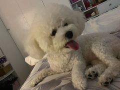 -麦当劳(军博店)