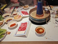 -董记老清泉·鲜切涮羊肉(窑岭店)