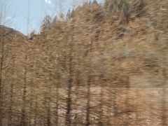 -芦芽山旅游度假区