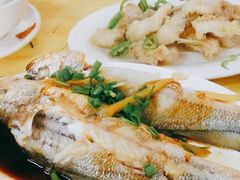 -蛇口康乐快餐鱼仔档(翠苑小区店)