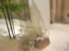 -兰亭茶叙(新新家苑店)