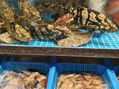 -大家发海鲜城夜排档(华山中路店)