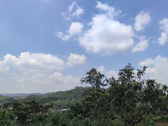 -桃源山庄·水蜜桃采摘·柴火鸡·烧烤团建(龙泉山店)