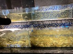 -喜庭海鲜自助(北辰三角洲北辰荟店)